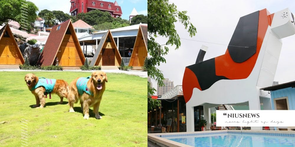 台中「寵物樂園」點點名！5間擁有超大草皮＋鮮食餐的毛孩友善園區，帶牠一起出遊吧！ 寵物圈圈、寵物出去玩、寵物遊樂園、寵物友善餐廳、寵物鮮食