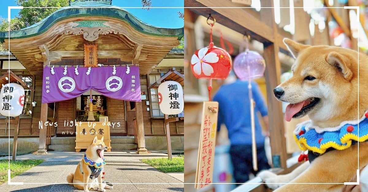 2023北部12個「帶狗一日遊景點」推薦！賞海喝茶超愜意、還有巨大草坪可以跑跳！ 北部帶狗一日遊、寵物友善景點、景點推薦、旅遊、打卡