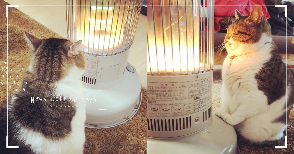 天冷就要烤肉球！日本小胖貓太愛暖爐秒變「烤貓鈴薯」，超舒爽表情引網熱議：小心烤焦 暖爐、烤肉球、烤貓鈴薯、暖爐貓咪、小胖貓、寵物IG介紹、萌寵、可愛寵物、寵物、可愛動物、動物、療癒、寵物趣聞