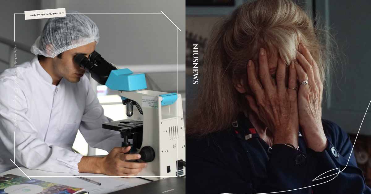 研究：補充Omega-3脂肪酸，有助減輕失智症認知障礙 失智症、阿茲海默症、Omega-3、蘇冠賓