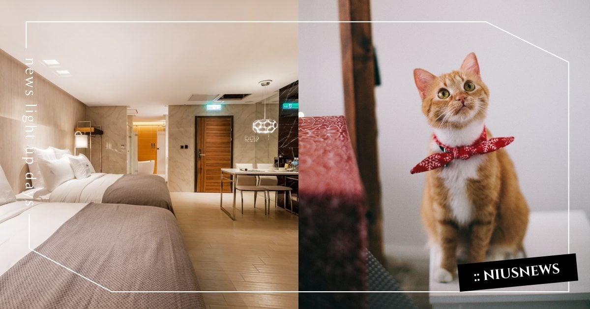 桃園5間「寵物友善住宿」推薦！毛孩可以跟主人一同進房，還貼心備好貓砂盆！  愛玩妞、旅宿推薦、寵物友善飯店、寵物出去玩、寵物友善旅館、桃園住宿推薦、寵物樂園