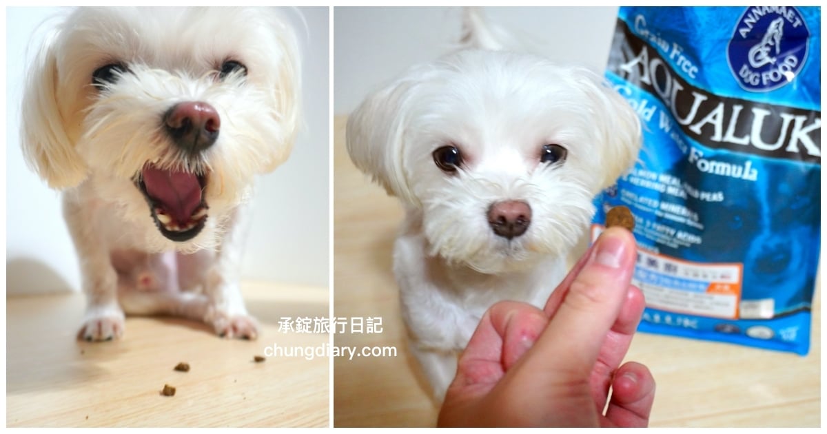 美國飼料品牌【安娜美廚Annamaet】冰泉皮毛配方「鮭魚＆鯡魚」狗飼料推薦！ 