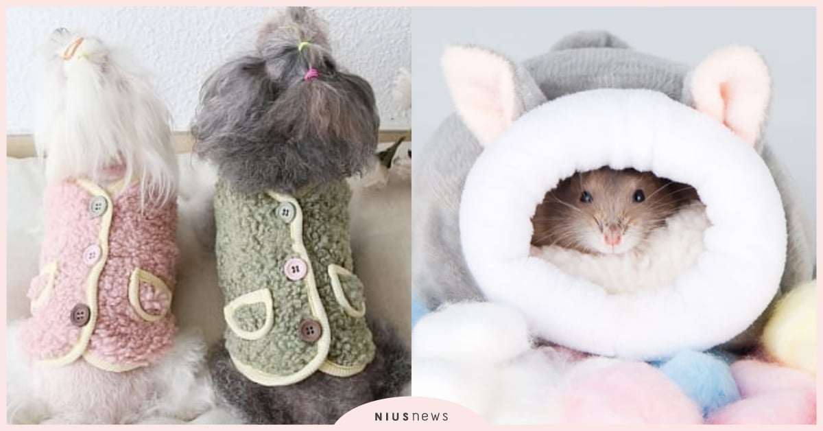 禦寒過冬必備！8款「寵物保暖用品」推薦，厚實睡窩兩腳衣、倉鼠棉花被球統統有！ 寵物保暖用品、寵物選品、禦寒、貓窩、狗窩、兩腳衣、睡窩、帳篷窩、倉鼠棉花被球、過冬、睡墊