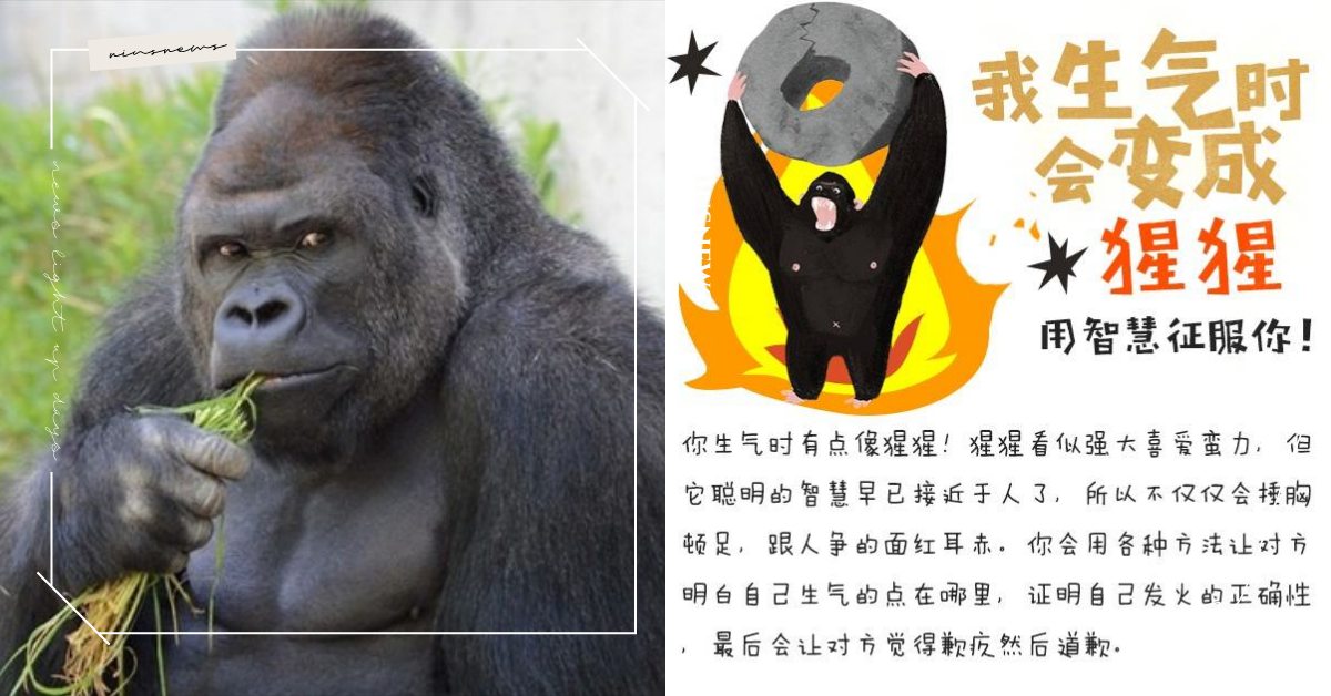 心理測驗「生氣時會變成什麼動物」？6題測出暴怒變身動物，棕熊勿惹否則一巴掌拍死你 寵物圈圈、寵物吃喝玩樂、動物、心理測驗、動物心理測驗