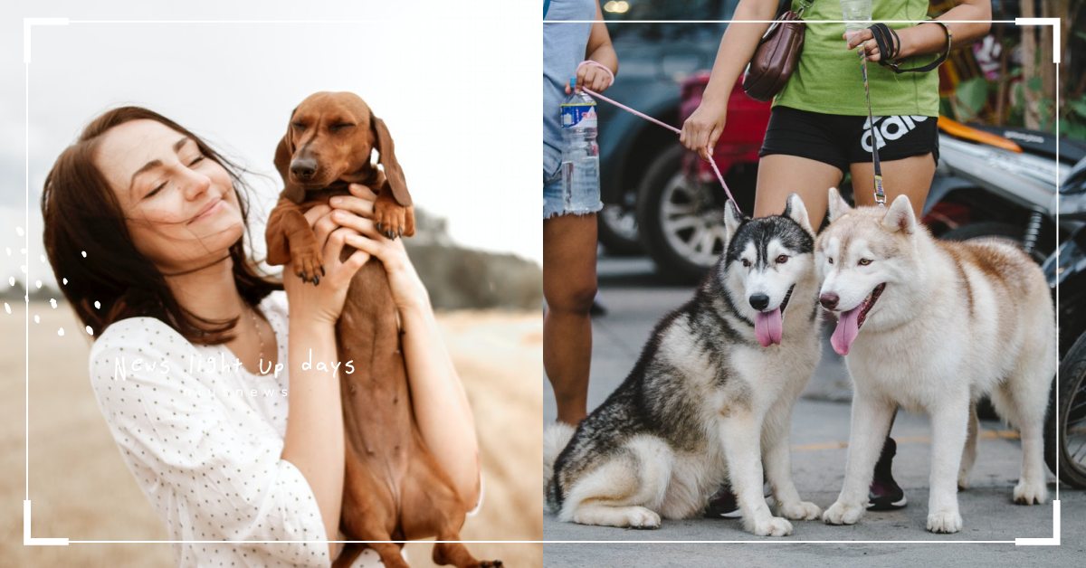 強制遛狗？5大「德國養寵物」飼養規定超嚴格，幫毛孩入籍、部分地區須取得養狗執照！ 寵物健康、寵物知識、寵物教養、寵物新聞、德國養狗