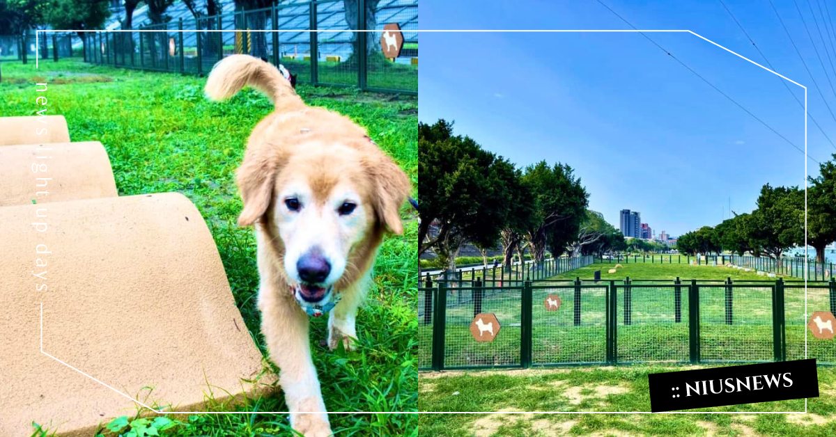 台北市第11座「狗狗公園」正式啟用！設置波浪步道＋隧道，毛主人還能牽著一起玩！ 寵物圈圈、寵物出去玩、寵物友善、台北市動保處、台北市寵物友善公園、寵物公園