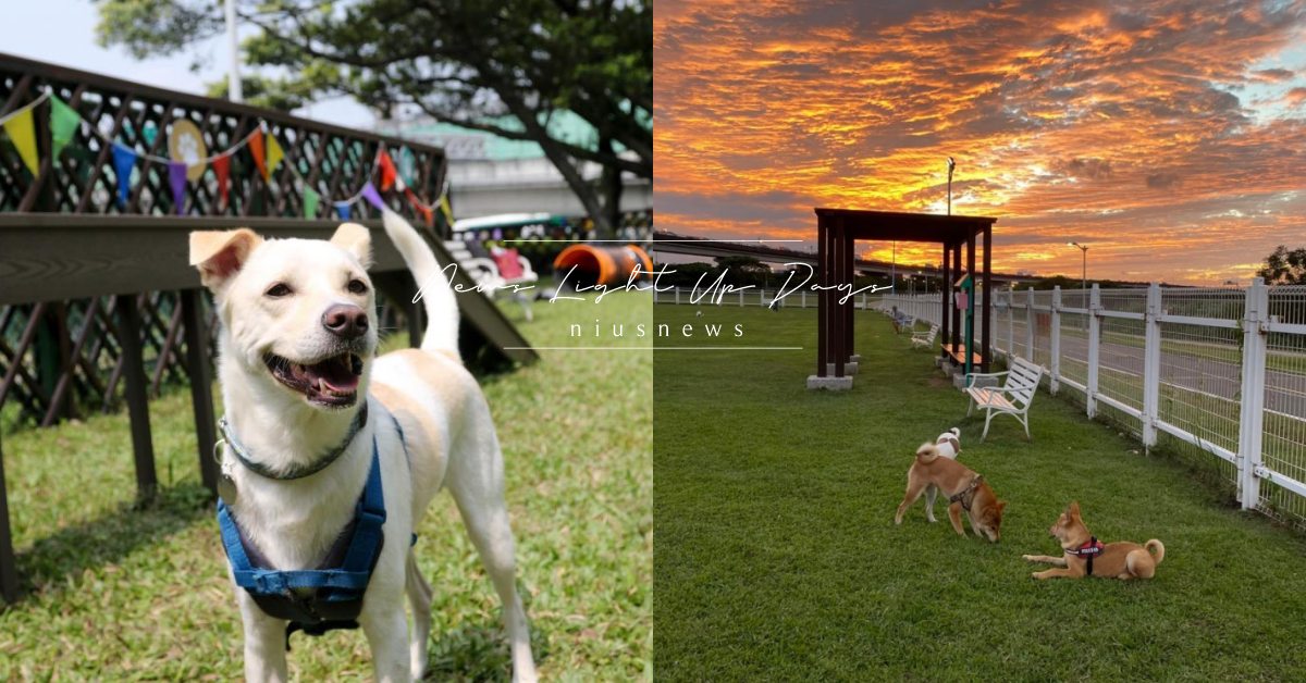 【2022最新】台北市17座「狗狗公園」一次介紹，16班寵物專屬公車路線直接抵達 寵物圈圈、寵物出去玩、寵物友善、寵物公園、狗狗公園