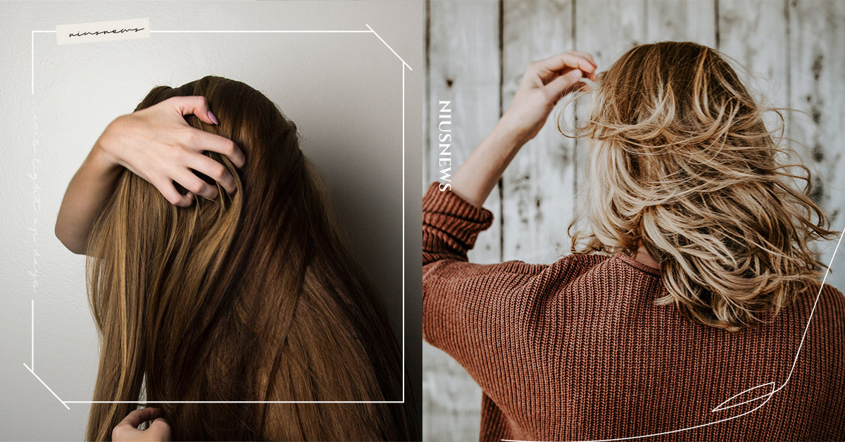 冬天更容易頭髮乾燥、斷裂，只要護髮就夠？中醫：毛髮狀態跟體內「這功能」有關係！ 冬天、頭髮乾燥、護髮、中醫、保養頭髮