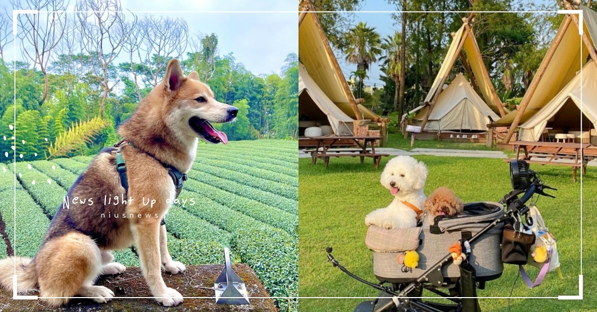 2023南部10個「帶狗一日遊景點」推薦！雲嘉南高雄統統有，一起徜徉在大自然中！ 遛狗、寵物友善、狗狗景點、帶狗一日遊、寵物出去玩