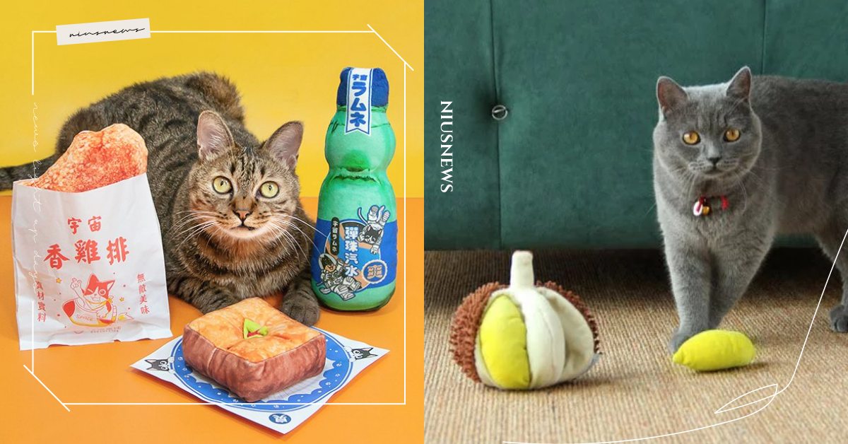 貓咪也可以吃雞排？15款「貓草包」新品盤點，連臭豆腐、彈珠汽水都神還原！ 寵物圈圈、寵物選品、貓草包、貓薄荷、貓咪、貓咪玩具、鏟屎官、貓奴