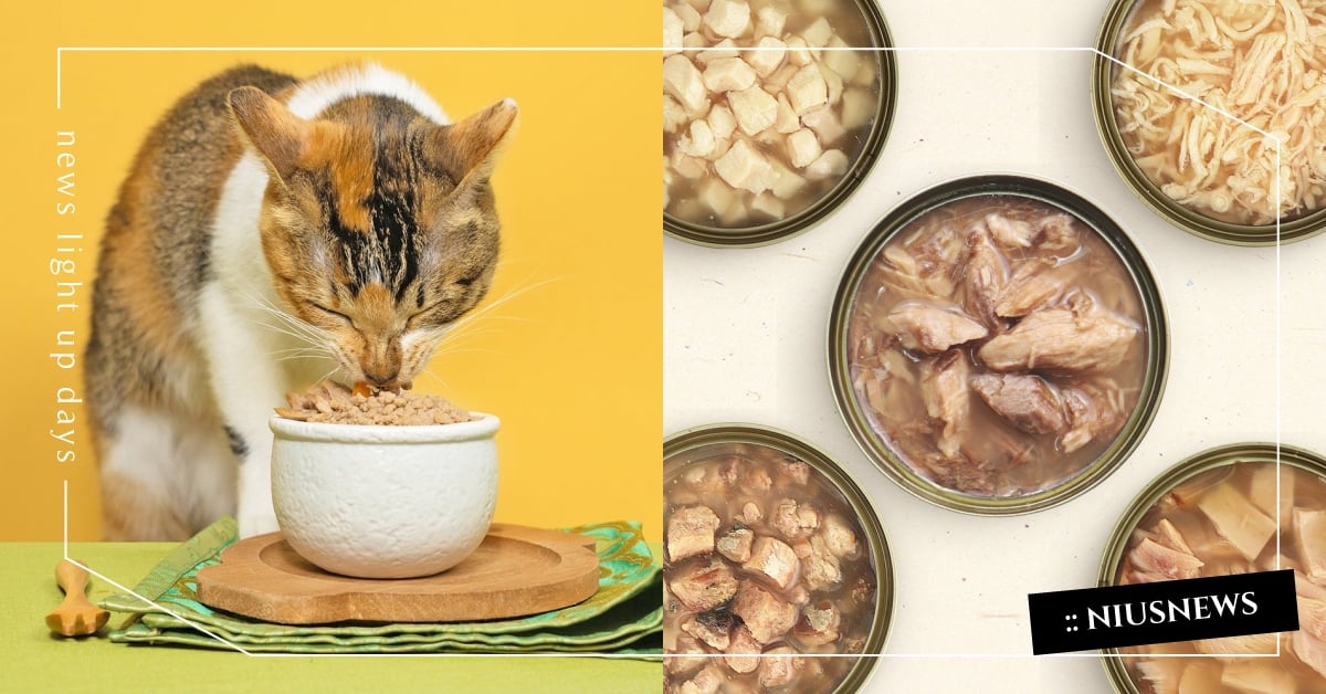 2022最新！5款「貓咪副食罐」精選推薦，價格和評價一次看！ 貓咪副食罐、貓罐頭推薦、懶人包、寵物飲食、貓咪