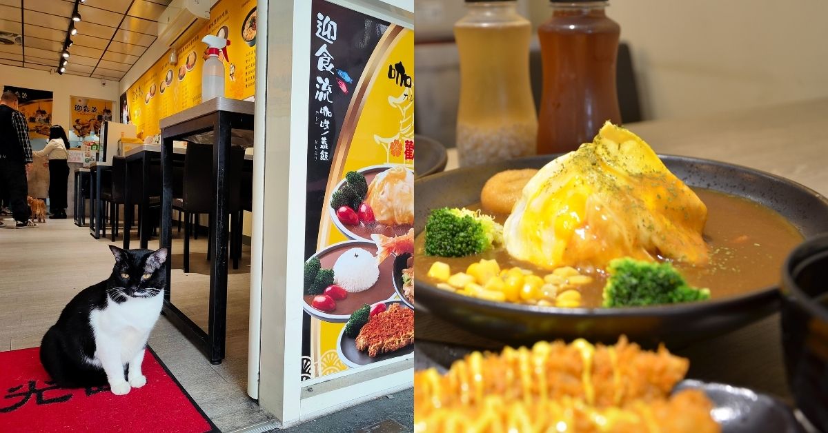 新店。迎食流咖哩/蓋飯 || 貓奴必訪11只貓店長的日式咖哩店 日式咖哩、貓咪、寵物友善、新北美食、新店美食