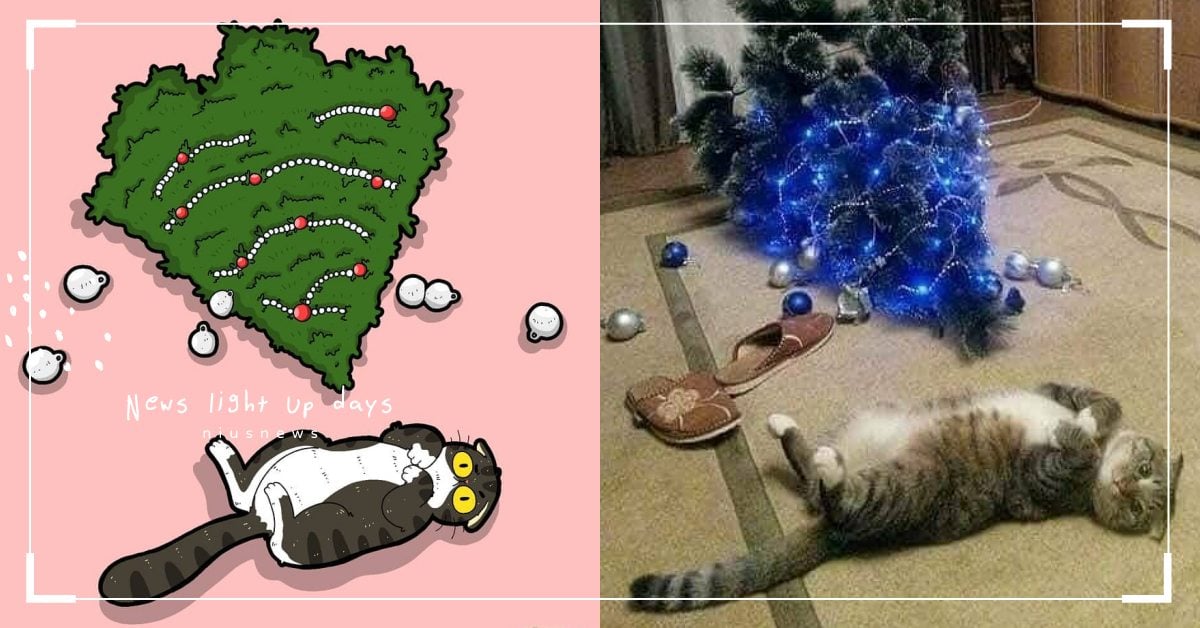 畫得太逼真！印尼藝術家重新描繪「貓咪爆紅照片」，滑稽又逗趣趕緊下載當桌布！ 寵物圈圈、可愛、畫家、藝術家、貓咪