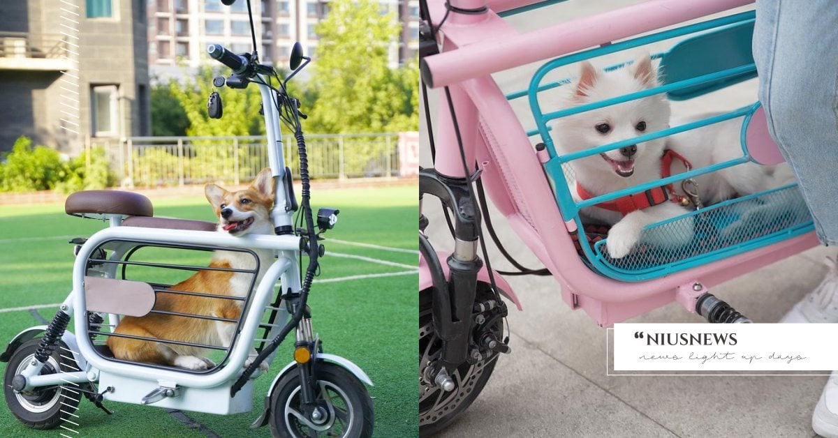 出門不用坐機車踏板！日本發明「寵物專用電動車」超輕巧，毛孩專屬座位不怕尾巴掃地！ 寵物圈圈、寵物出去玩、寵物選品、寵物專用電動車、機車踏板
