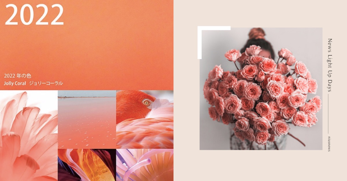 2022年日本年度代表色「珊瑚橘Jolly Coral」象徵充滿光明與希望的未來 日本流行色協會、JAFCA、珊瑚橘、JollyCoral、Pantone、Pantone2022、2022色票、Pantone代表色、長春花藍色