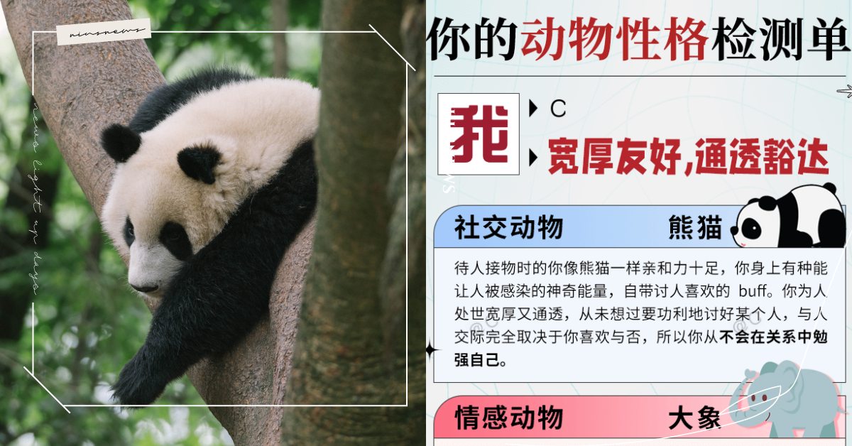 心理測驗「你的動物性格檢測單」！6題測出3種性格，300字詳解80萬人都說準！ 寵物圈圈、寵物吃喝玩樂、動物、心理測驗、動物心理測驗