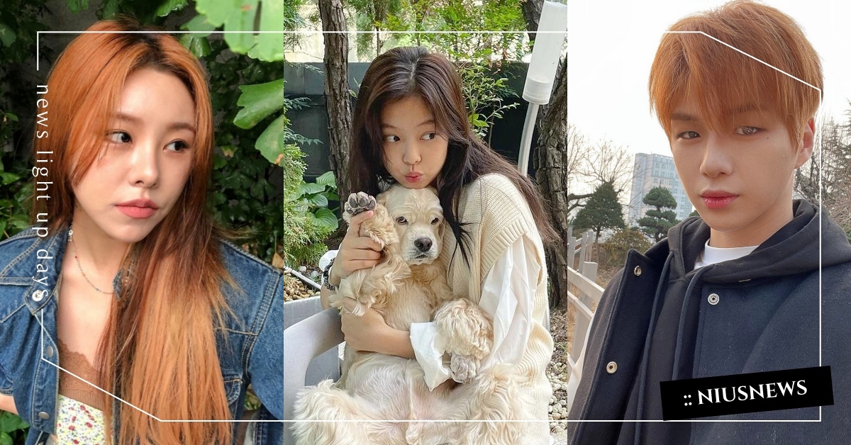 一直被誤認是藝名！盤點10個「本名超像藝名」的韓星，姜丹尼爾原來是真名？ 韓星、藝名、本名、真名、趣聞