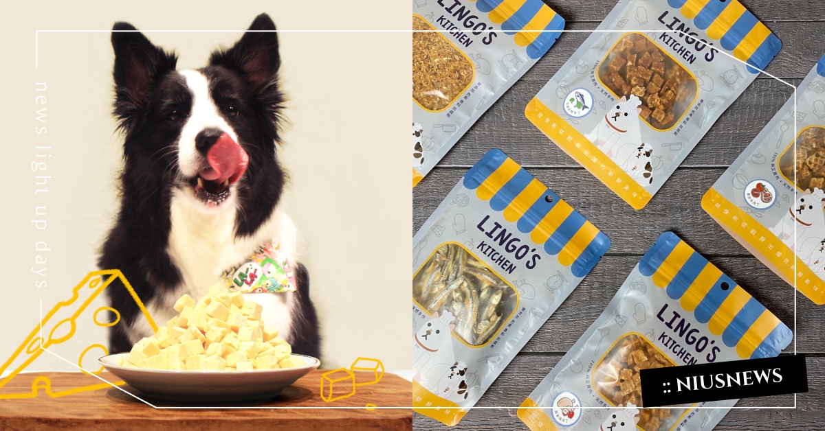 2022最新！14款「寵物小零食」推薦，網羅知名品牌和IG店鋪、健康美味全收錄！ 寵物零食、毛小孩、懶人包、寵物飲食、貓咪、狗狗、精選、純天然無添加、寵物、毛小孩、鏟屎官、2022最新、凍乾、肉片、肉泥、肉乾