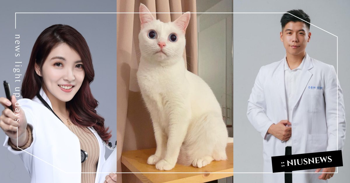 豆漿娘娘霸氣上榜！2021博客來「生活類書」暢銷TOP10，增肌減脂依然最熱賣！ 博客來、書單、20201、暢銷書、年末書單、書單推薦、生活類書、豆漿、寵物、貓咪