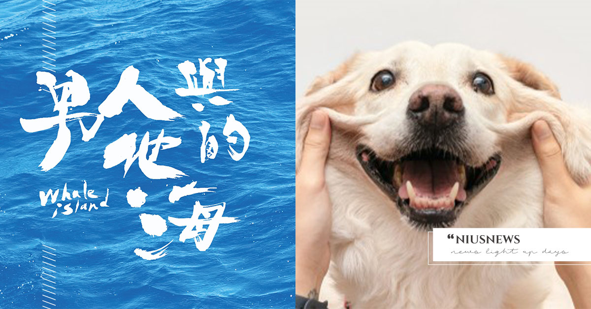 屬於台灣的故事！5部台灣記錄片《十二夜2：回到第零天》、《看見台灣》必看 紀錄片、看見台灣、推薦、十二夜2：回到第零天