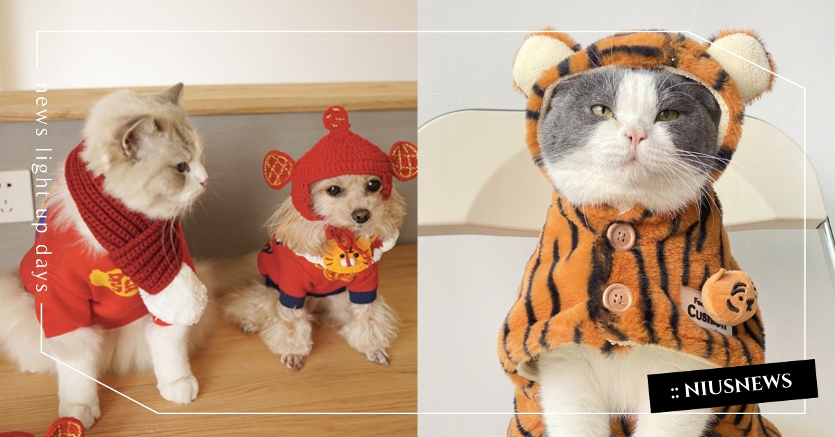 過年就要穿新衣！11款寵物「年味穿搭」服飾推薦，紅包披風、舞龍舞獅衣都超喜慶！ 年味穿搭、寵物過年服飾、過年衣服、紅包披風、舞龍舞獅、吉祥話、刺繡、唐裝、寵物服飾、寵物衣服、寵物選品