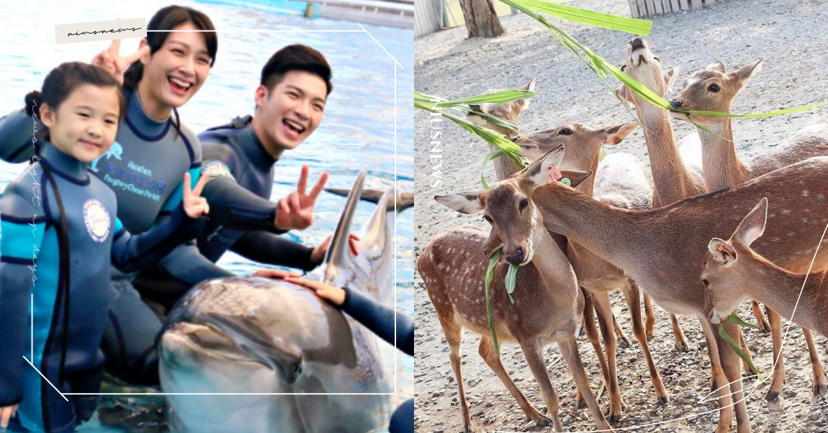 2022走春最佳提案Top10！遊樂園、自然景區都上榜，連假來這裡準沒錯 KLOOK、2021、2022、走春、連假、年度旅遊、樂園、主題、國旅券、豪華露營、博物館、自然景觀、觀光園區