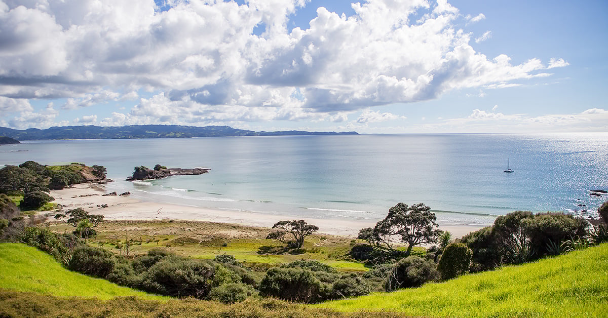紐西蘭 | 北奧克蘭 | Tawharanui Regional Park 紐西蘭自由行、紐西蘭自助、紐西蘭旅遊、紐西蘭自駕、北奧克蘭、North Auckland、Tawharanui Regional Park
