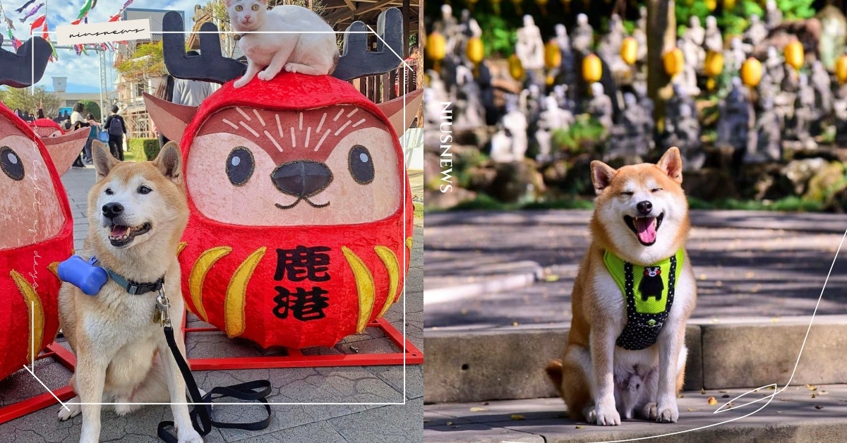 2023全台6個「寵物過年走春景點」推薦！紅通通裝飾超喜慶、還能順道祈福參拜！ 過年、走春、新年、寵物過年走春、走春景點、寵物出去玩、喜慶、祈福、參拜、千佛寺、地母廟、桂花巷藝術村、神農街、宜蘭傳統藝術中心、蓮池潭、寵物友善景點