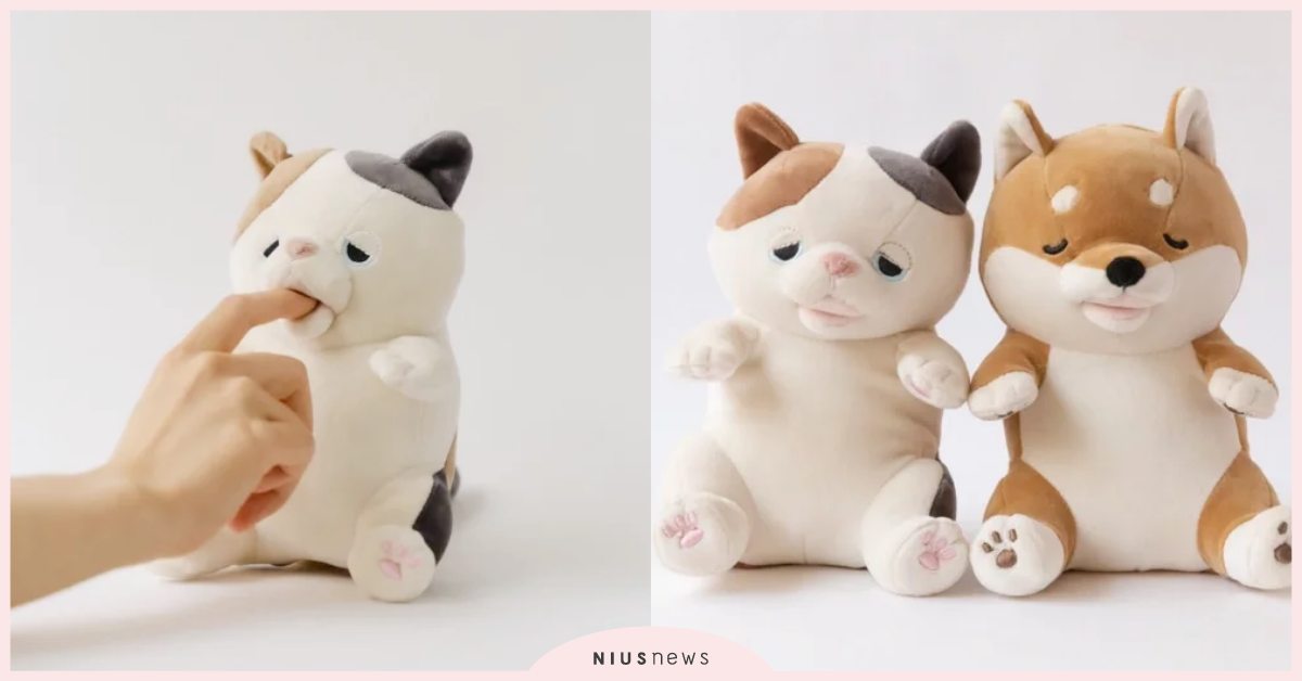 享受被咬的感覺？日本發明「機器貓」模擬寵物的親密行為，網友：每天都想把手放進去！ 寵物圈圈、寵物選品、獵奇、貓咪、機器人、日本、推特