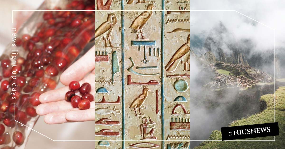 咖啡竟然是史前非洲用來征戰、打劫的「大力丸」？咖啡的身世之謎！ 咖啡誌、咖啡日安、everydaycoffee、咖啡由來、咖啡節、職人咖啡、咖啡廳、咖啡豆