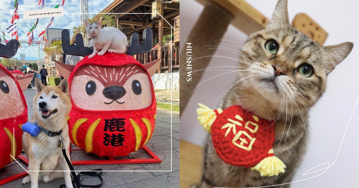 桌上零食要小心！農曆過年6大「寵物危機」，PFI：別讓毛孩健康跟著領紅包！ 寵物圈圈、寵物吃喝玩樂、寵物過年、年假、寵物知識、寵物生病、寵物飲食