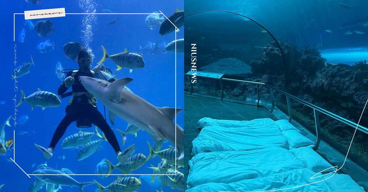 屏東海生館5大體驗活動！沈浸式互動展域「極境漫遊66.5度」、「迷你解說員」登場 屏東海生館、海生館、屏東、極境漫遊66.5度、國立海洋生物博物館、屏東景點