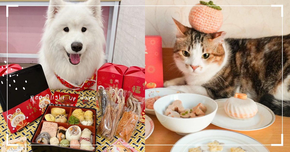 家裡有隻挑嘴貓？讓貓咪「食慾大增」的7個方法，對待主子就是要把碗拿到面前！ 寵物圈圈、可愛寵物、貓咪知識、挑食貓、挑嘴貓、寵物知識、貓咪、鏟屎官、寵物飲食