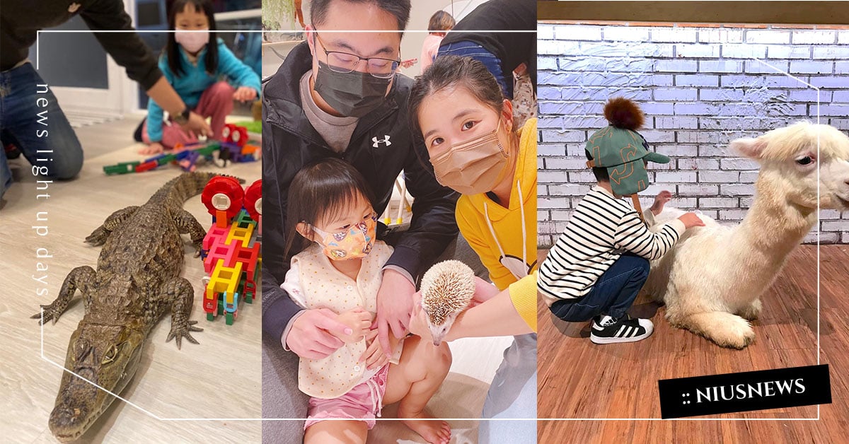 在台北市區就能讓小朋友跟動物親密互動：刺蝟、狐獴，還能摸鱷魚！ 親子旅遊、親子餐廳、幼兒課程、動物互動、餵動物