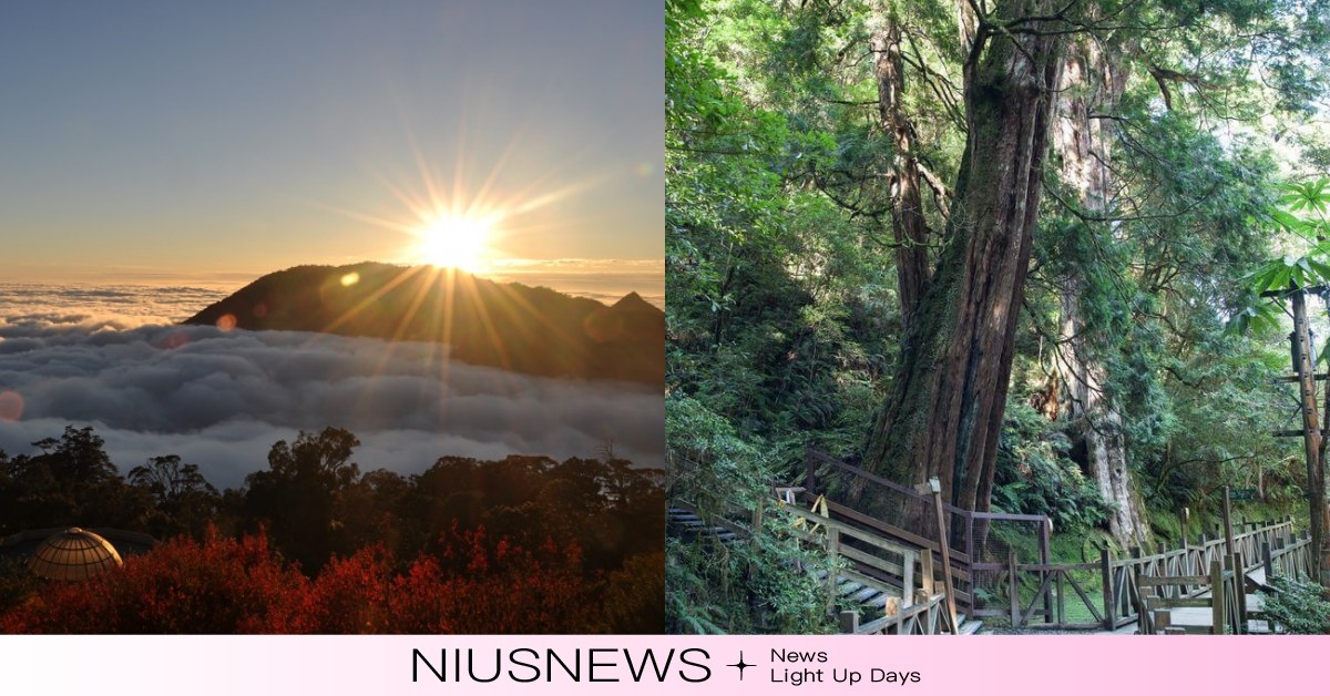 走春就到森林裡呼吸吧！看神木再也不用跋山涉水，全台5大輕鬆就能到的遊樂區 森林、森林遊樂區、登山、神木、山林