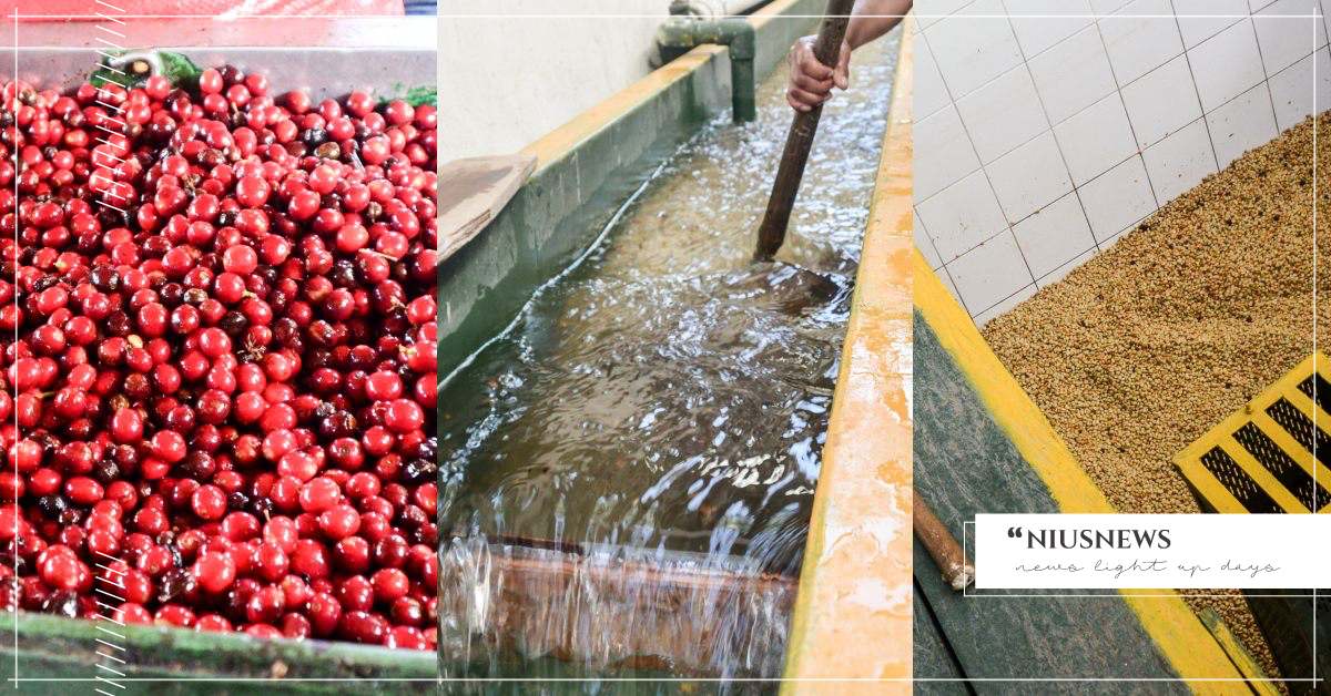 精品咖啡大國瓜地馬拉千變萬化的「水洗處理法」 咖啡誌、咖啡日安、everydaycoffee、咖啡、職人咖啡、咖啡廳、咖啡豆、手沖咖啡