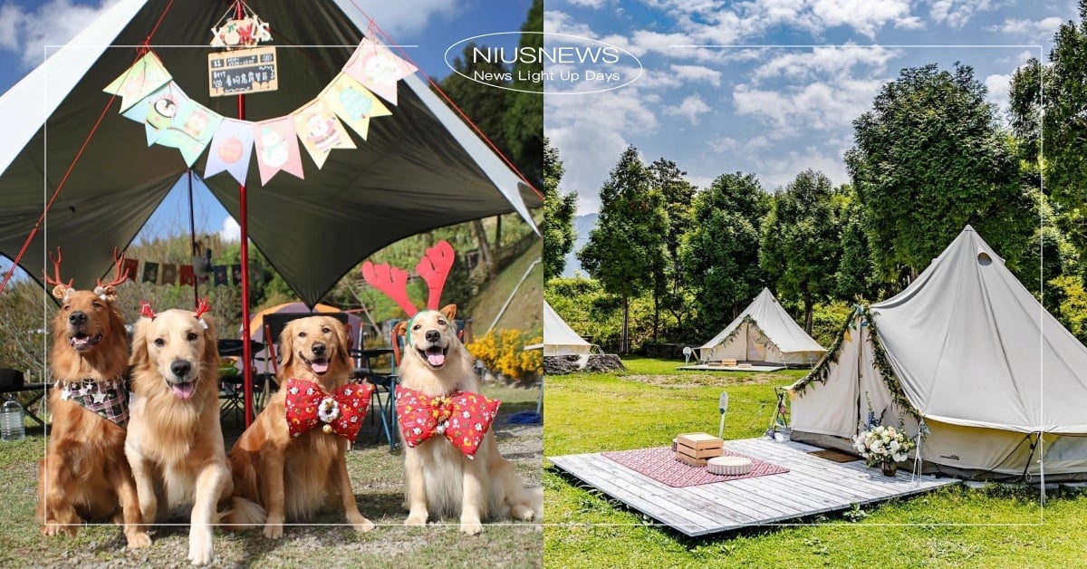 2022台灣北部7個「寵物友善露營區」推薦！帶毛小孩森呼吸、蒙古包露營車統統有！ 2022最新、寵物友善、寵物友善露營、北部寵物友善、逗留營地、愛上喜翁、賓狗窩露營區、內灣松林茶花露營區、木村的家露營區、天ㄟ露營車、蒙古包、露營車