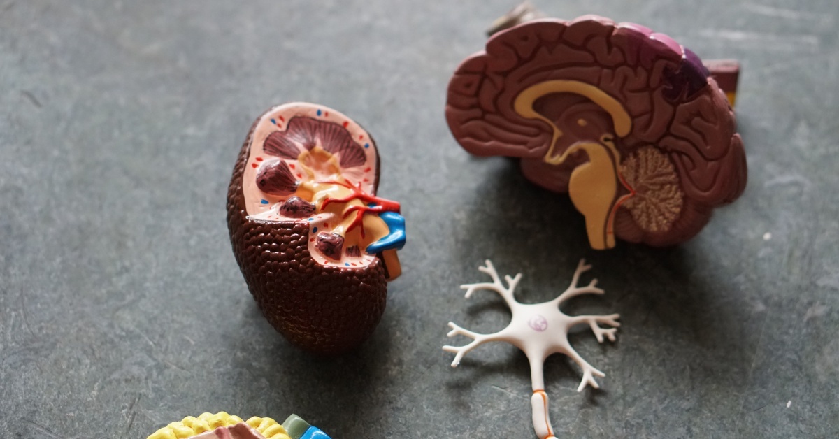 什麼是NLP神經語言程式學？Part1 