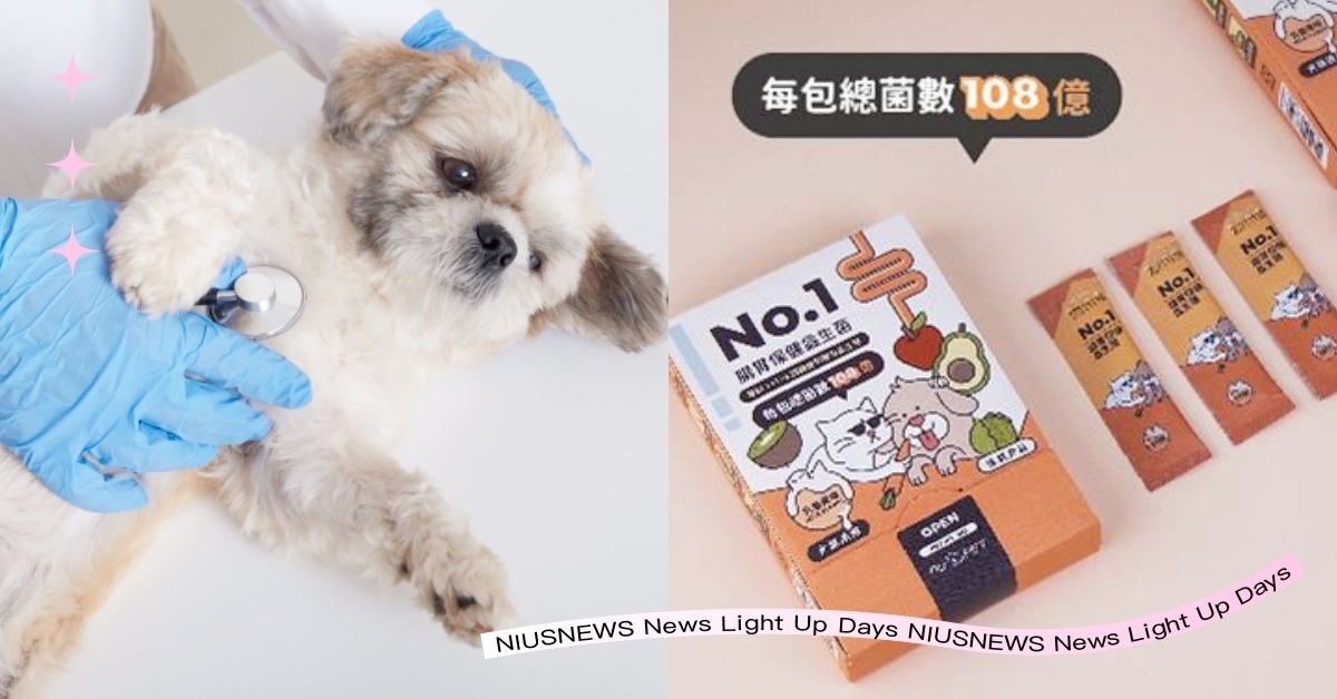 5款寵物保健食品推薦！冬日毛孩「毛球症、心臟病」有解，日常降低罹病靠這招！ 寵物保健食品、營養保健、保健食品、寵物選品、寵物飲食、心臟病、毛球症、心血管疾病、寵物、萌寵、鏟屎官