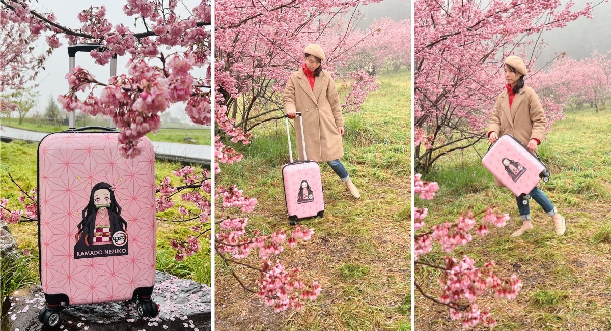 鬼滅之刃禰豆子輕巧型20吋登機箱|官方授權超萌粉嫩禰豆子登機箱 