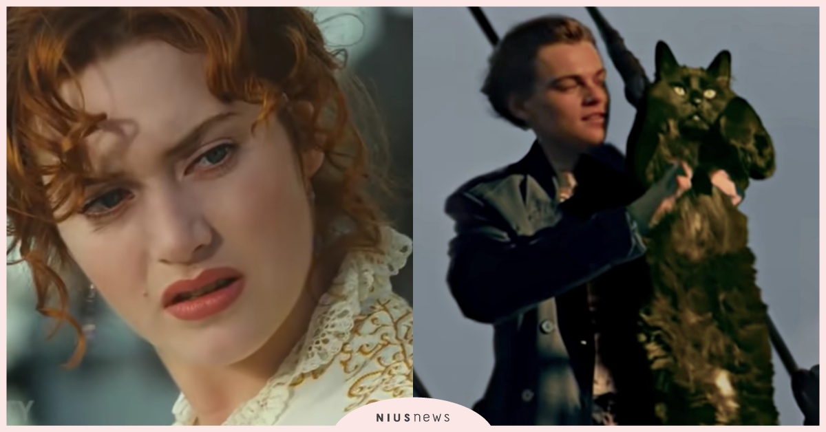 凱特溫絲蕾傻眼貓咪！萌黑貓同框李奧納多重現《鐵達尼號》經典畫面，網友：超越原版！ Youtube、owlkitty、鐵達尼號