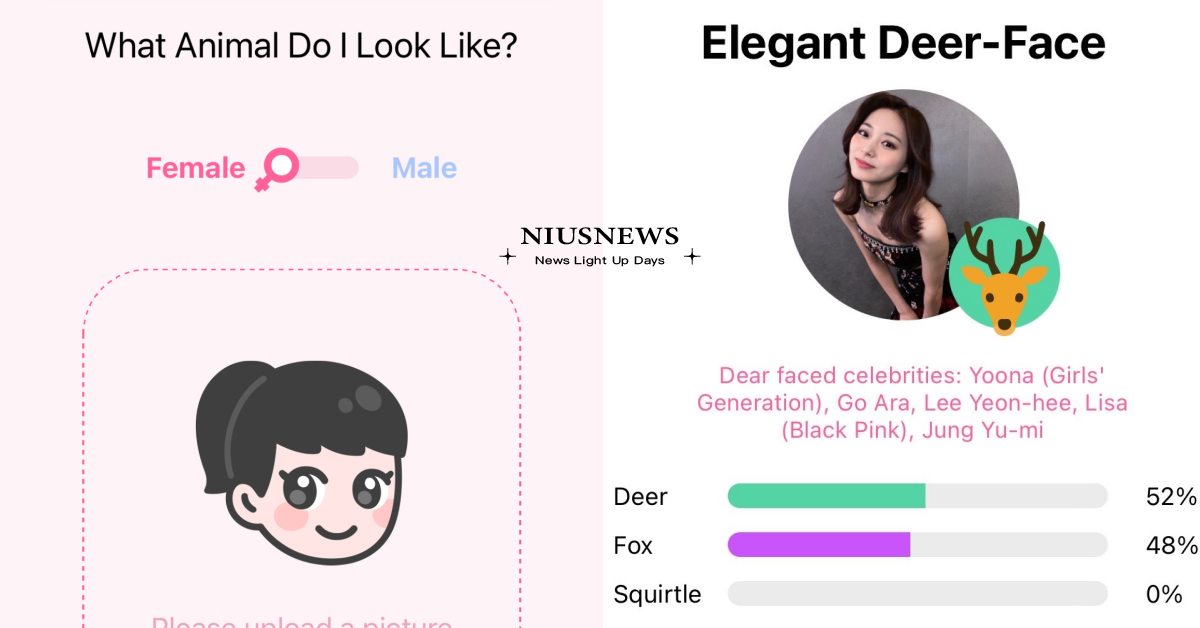 IG爆紅！韓國App《我像什麼動物測試》三秒分析面相，貓相就是天生的酷酷傲嬌女！ 寵物圈圈、寵物吃喝玩樂、動物、心理測驗、動物心理測驗、動物相測試、AI人工智慧、分析性格、APP介紹