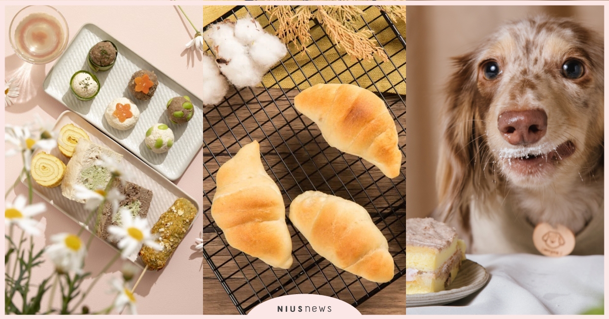 2022最新「寵物野餐」點心盒5款盤點，精緻又澎湃簡直踏青必備！ 2022最新、寵物野餐、寵物踏青、寵物郊遊、寵物賞花