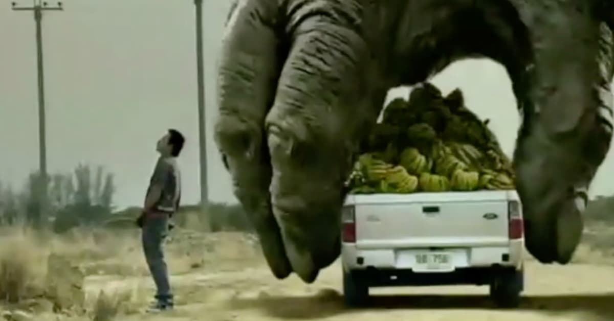 只是路邊小個便，整車香蕉就不見？ 美國、ford、汽車、古怪