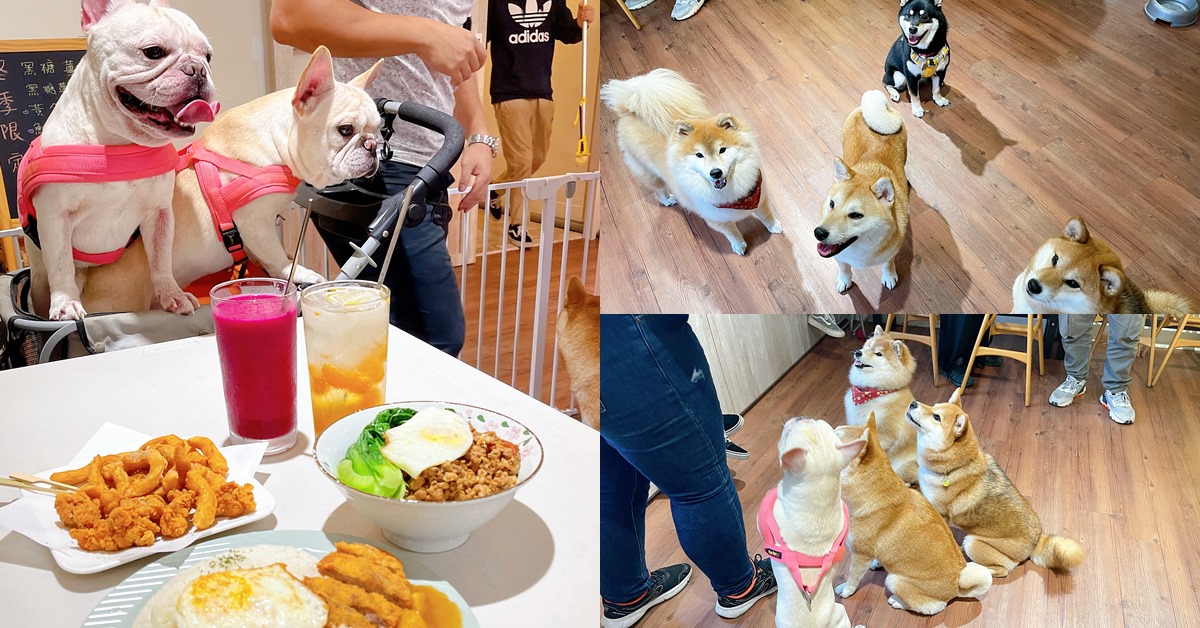 台中咖啡推薦，咖啡輕食甜點，寵物餐，狗狗聚會活動包場，店狗柴犬金金，寵物友善餐廳 台中美食、台中北區美食、台中寵物友善餐廳、台中咖啡、台中甜點