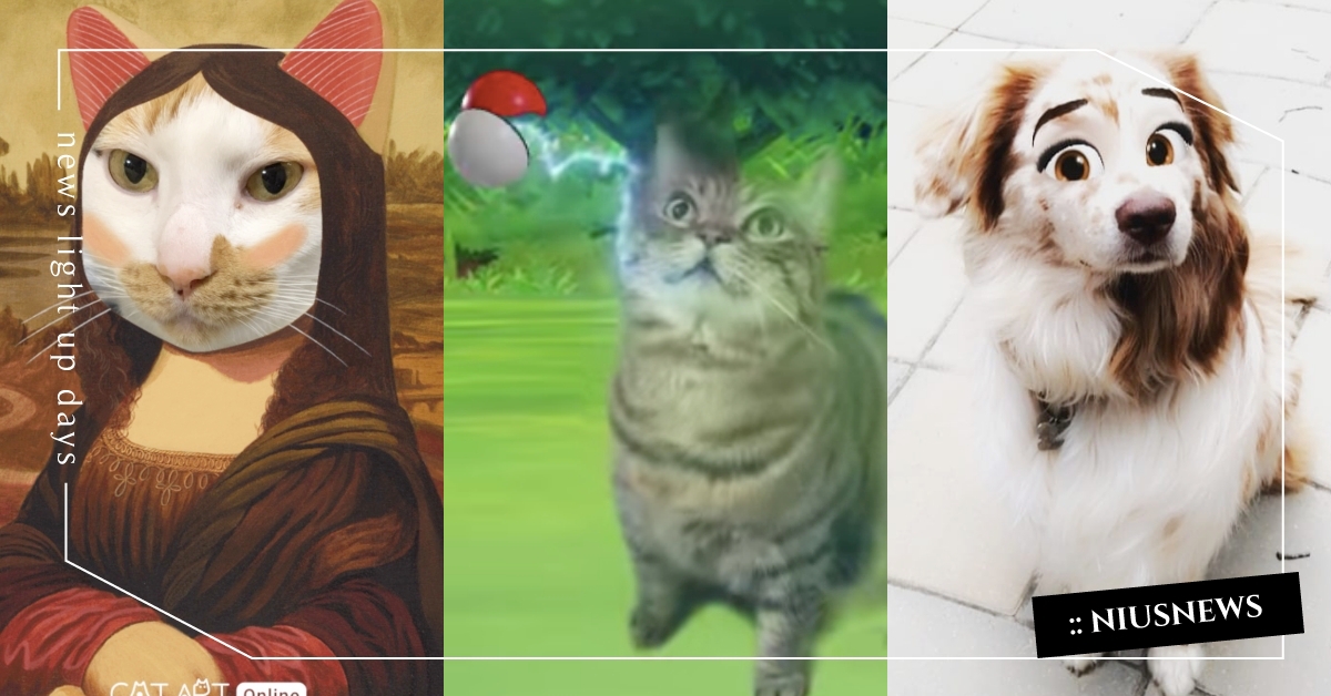 IG抓寶、貓貓亂入名畫？5款超夯「寵物特效濾鏡」推薦，丟出精靈球捕獲毛孩吧！ 寵物特效濾鏡、Instagram、Instagram限時動態、限時動態濾鏡、Snapchat、B612、手機APP、3C