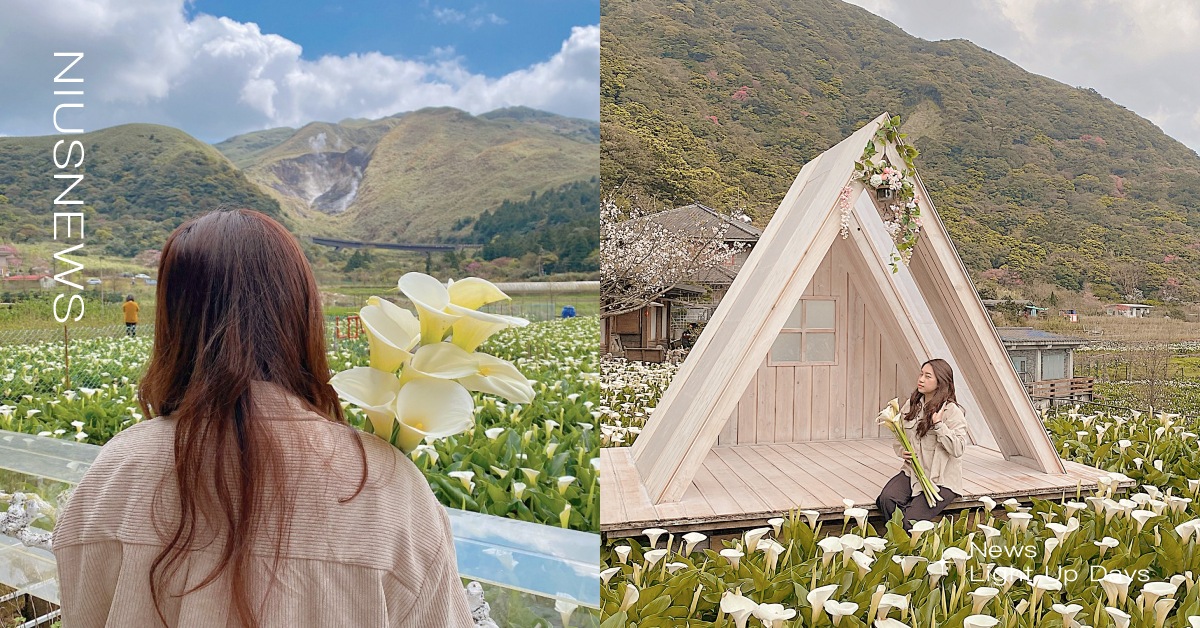 2022海芋季景點＆交通懶人包：陽明山竹子湖11個賞花打卡點，夢幻玻璃屋仙女必拍 陽明山、賞花、海芋、海芋景點、賞花景點、竹子湖、咖啡廳、景觀餐廳