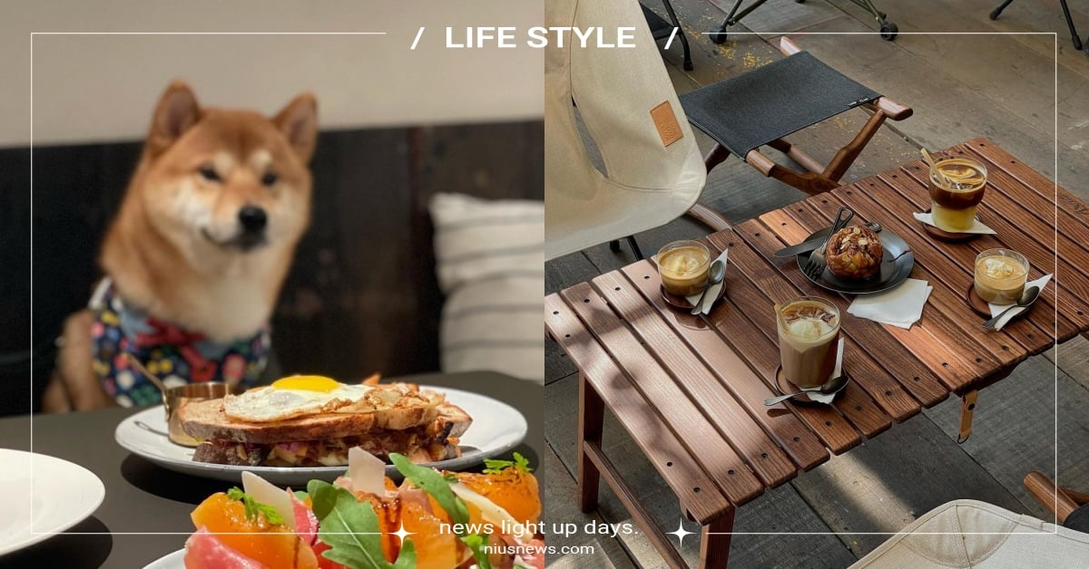 2023台中9間「寵物友善咖啡廳」推薦！勤美超夯咖啡館，還提供寵物可食吐司！ 2023台中咖啡廳推薦、台中寵物友善咖啡廳、寵物友善、台中寵物友善、台中寵物友善餐廳、可落地上椅、供應寵物餐、毛孩店員