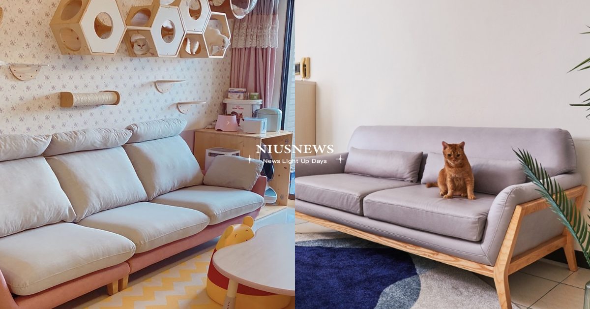 貓咪最愛抓沙發？6款超人氣「貓抓布沙發」推薦，高抗污＋排水性強鏟屎官必備！ 寵物選品、人貓共居、貓抓皮沙發、貓抓布沙發、貓咪沙發推薦、貓咪、貓咪裝潢、寵物居家