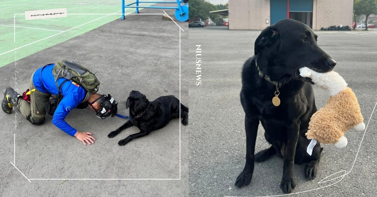 桃園汪汪隊公開「搜救犬考試內容」！親揭考前神秘儀式＋超萌獎勵：狗勾的最愛～ 地震、搜救犬考試、桃園搜救犬隊、寵物新聞、時事、萌寵、工作犬、動物、寵物、可愛寵物、冷知識、避難包、狗罐頭